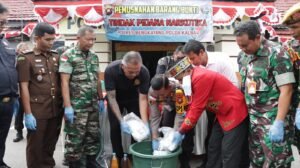 Polres Bengkayang Musnahkan Barang Bukti Narkoba Seberat 3101,7 Gram