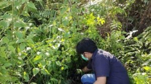 Temuan Mayat Bayi Dalam Kantong Plastik,Polres Melawi Bekerja Keras Ungkap Kasusnya