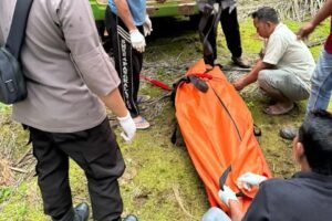 Penemuan Mayat Laki Laki Di Perkebunan Sawit, Gegerkan Warga Kecamatan Manis Mata