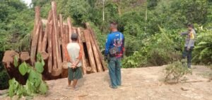Jembatan Roboh di Desa Nanga Siyai, Polsek Menukung dan Warga Gotong Royong Buka Jalan Alternatif