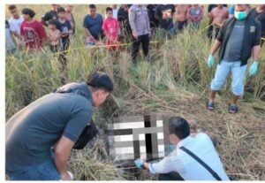 Polres Sambas Telusuri Kasus Kematian Misterius di Persawahan Tebas Kuala
