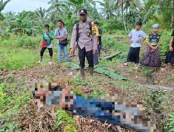 Pria Berusia 44 Tahun Ditemukan Meninggal di Kebun, Keluarga Tolak Autopsi