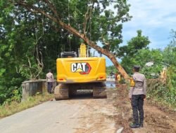 Pohon Tumbang Timpa Jembatan di Sambas, Akses jalan raya Terhambat
