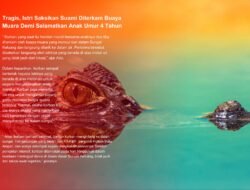 Tragis, Istri Saksikan Suami Diterkam Buaya Muara Demi Selamatkan Anak Umur 4 Tahun