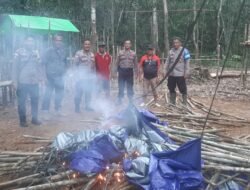 Polsek Bunut Hulu Tindak Tegas Arena Sabung Ayam di Dusun Jakok