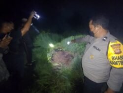 Sekian Lama Menghilang, Warga Manis Mata Ditemukan Tinggal Tulang Belulang