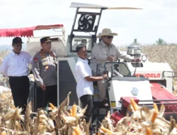 Presiden Prabowo Panen Jagung di Kalbar: Target Swasembada Pangan Dimulai dari Sini!