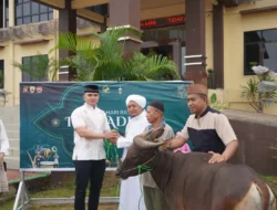 Berbagi Kebahagian di Hari Raya Idul Adha 2025, Polres Kubu Raya Kurban 2 Ekor Sapi dan 13 Ekor Kambing