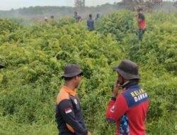 Karhutla Rasau Jaya Meluas, Tim Gabungan TNI-Polri dan Manggala Agni Dikerahkan Padamkan Api