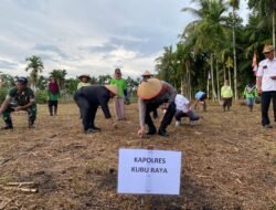 Bersama Petani, Polres Kubu Raya Wujudkan Swasembada Pangan 2025