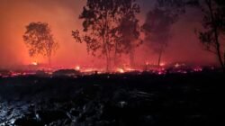Kemarau Panjang Picu Karhutla, Kubu Raya Ditetapkan Tanggap Darurat