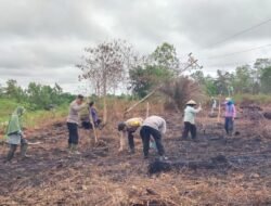 Gandeng Kelompok Tani Parit Baru, Polres Kubu Raya Garap Ladang Jagung Hibrida
