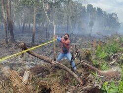 Tindak Tegas Pelanggar Lahan, Bupati Sujiwo: Karhutla Bukan Persoalan Sepele!