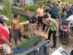 Tragedi KM 19 Trans Kalimantan: Hilang Kendali di Tikungan, Pemotor Tewas Hantam Truk