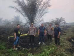 Misteri Terbakarnya 5 Hektar Lahan di Desa Sungai Malaya, Polisi Buru Pelakunya