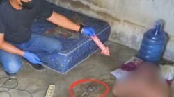 Tragis! Karyawan Peternakan Ayam di Kubu Raya Tewas Tersengat Listrik Saat Cas HP