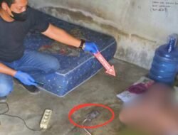 Tragis! Karyawan Peternakan Ayam di Kubu Raya Tewas Tersengat Listrik Saat Cas HP