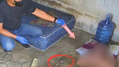 Tragis! Karyawan Peternakan Ayam di Kubu Raya Tewas Tersengat Listrik Saat Cas HP