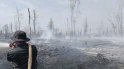 Kubu Raya Membara! 20 Hektare Lahan Gambut Hangus, Polisi-Manggala Agni Berjibaku Jinakkan Api