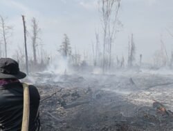 Kubu Raya Membara! 20 Hektare Lahan Gambut Hangus, Polisi-Manggala Agni Berjibaku Jinakkan Api